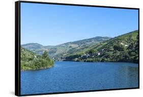Europe, Portugal, Douro River, Douro River Valley Vineyards-Lisa S. Engelbrecht-Framed Stretched Canvas