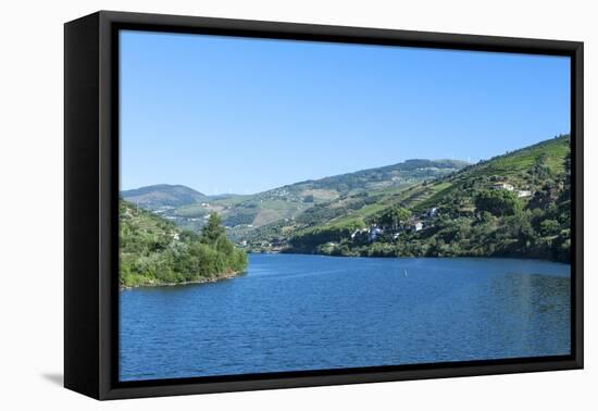 Europe, Portugal, Douro River, Douro River Valley Vineyards-Lisa S. Engelbrecht-Framed Stretched Canvas