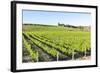 Europe, Portugal, Favaios, Vineyards-Lisa S. Engelbrecht-Framed Photographic Print