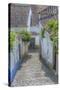 Europe, Portugal, Obidos, Cobblestone Steps-Lisa S^ Engelbrecht-Stretched Canvas