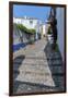 Europe, Portugal, Obidos, Cobblestone Street-Lisa S. Engelbrecht-Framed Photographic Print