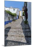 Europe, Portugal, Obidos, Cobblestone Street-Lisa S. Engelbrecht-Mounted Premium Photographic Print