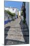 Europe, Portugal, Obidos, Cobblestone Street-Lisa S. Engelbrecht-Mounted Premium Photographic Print