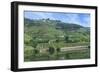 Europe, Portugal, Penajoia Vineyards, Douro River Valley, Douro River-Lisa S. Engelbrecht-Framed Photographic Print