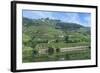 Europe, Portugal, Penajoia Vineyards, Douro River Valley, Douro River-Lisa S. Engelbrecht-Framed Photographic Print