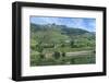 Europe, Portugal, Penajoia Vineyards, Douro River Valley, Douro River-Lisa S. Engelbrecht-Framed Photographic Print