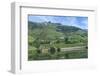 Europe, Portugal, Penajoia Vineyards, Douro River Valley, Douro River-Lisa S. Engelbrecht-Framed Photographic Print