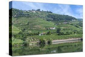 Europe, Portugal, Penajoia Vineyards, Douro River Valley, Douro River-Lisa S. Engelbrecht-Stretched Canvas