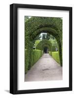 Europe, Portugal, Vila Real, Palace of Mateus, Formal Garden-Lisa S. Engelbrecht-Framed Photographic Print