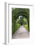 Europe, Portugal, Vila Real, Palace of Mateus, Formal Garden-Lisa S. Engelbrecht-Framed Photographic Print