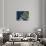 Europe, Satellite Image-PLANETOBSERVER-Photographic Print displayed on a wall