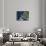 Europe, Satellite Image-PLANETOBSERVER-Mounted Photographic Print displayed on a wall