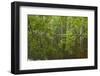 Europe, Scotland, Cairngorm National Park. Calm Lake in Forest-Cathy & Gordon Illg-Framed Photographic Print