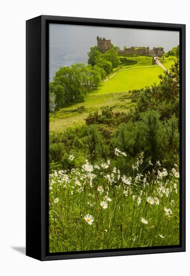 Europe, Scotland, Loch Ness. Landscape of Castle Urquhart Ruins-Cathy & Gordon Illg-Framed Stretched Canvas