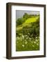 Europe, Scotland, Loch Ness. Landscape of Castle Urquhart Ruins-Cathy & Gordon Illg-Framed Photographic Print