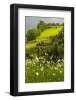 Europe, Scotland, Loch Ness. Landscape of Castle Urquhart Ruins-Cathy & Gordon Illg-Framed Photographic Print