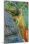 Europe, Scotland, Oban, brightly colored fishing nets-Jay Sturdevant-Mounted Photographic Print