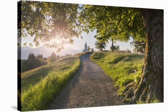 Europe, Slovenia. The road leading to the Church of St Primus and Felician in Jamnik at sunrise-ClickAlps-Stretched Canvas