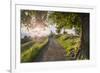 Europe, Slovenia. The road leading to the Church of St Primus and Felician in Jamnik at sunrise-ClickAlps-Framed Photographic Print