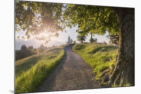Europe, Slovenia. The road leading to the Church of St Primus and Felician in Jamnik at sunrise-ClickAlps-Mounted Photographic Print