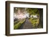 Europe, Slovenia. The road leading to the Church of St Primus and Felician in Jamnik at sunrise-ClickAlps-Framed Photographic Print