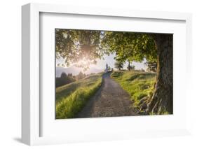 Europe, Slovenia. The road leading to the Church of St Primus and Felician in Jamnik at sunrise-ClickAlps-Framed Photographic Print