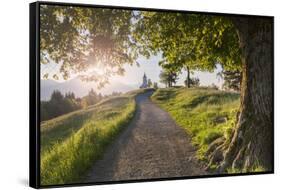 Europe, Slovenia. The road leading to the Church of St Primus and Felician in Jamnik at sunrise-ClickAlps-Framed Stretched Canvas