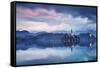 Europe, Slovenia, Upper Carniola. The lake of Bled at dawn-ClickAlps-Framed Stretched Canvas