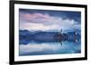 Europe, Slovenia, Upper Carniola. The lake of Bled at dawn-ClickAlps-Framed Photographic Print