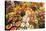 Europe, Spain, Barcelona, St. Josep La Boqueria, Food Market, Fruit-Lisa S. Engelbrecht-Stretched Canvas