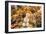 Europe, Spain, Barcelona, St. Josep La Boqueria, Food Market, Fruit-Lisa S. Engelbrecht-Framed Photographic Print