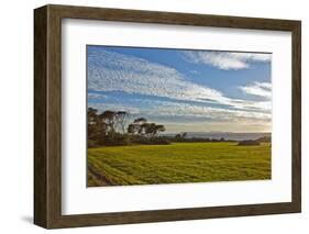 Europe, Spain, Majorca, Cap De Ses Salines, Green Meadows-Chris Seba-Framed Photographic Print