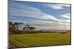 Europe, Spain, Majorca, Cap De Ses Salines, Green Meadows-Chris Seba-Mounted Photographic Print