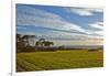 Europe, Spain, Majorca, Cap De Ses Salines, Green Meadows-Chris Seba-Framed Photographic Print