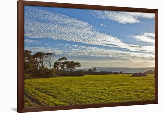 Europe, Spain, Majorca, Cap De Ses Salines, Green Meadows-Chris Seba-Framed Photographic Print