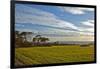 Europe, Spain, Majorca, Cap De Ses Salines, Green Meadows-Chris Seba-Framed Photographic Print