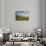 Europe, Spain, Majorca, Cap De Ses Salines, Green Meadows-Chris Seba-Framed Stretched Canvas displayed on a wall