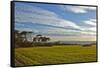 Europe, Spain, Majorca, Cap De Ses Salines, Green Meadows-Chris Seba-Framed Stretched Canvas