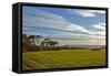 Europe, Spain, Majorca, Cap De Ses Salines, Green Meadows-Chris Seba-Framed Stretched Canvas