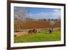 Europe, Spain, Majorca, Meadow, Donkey, Almonds-Chris Seba-Framed Photographic Print