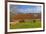 Europe, Spain, Majorca, Meadow, Donkey, Almonds-Chris Seba-Framed Photographic Print