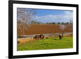 Europe, Spain, Majorca, Meadow, Donkey, Almonds-Chris Seba-Framed Photographic Print