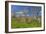 Europe, Spain, Majorca, Meadow, Yellow Flowers, Almonds-Chris Seba-Framed Photographic Print