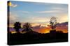 Europe, Spain, Majorca, Palm, Windmill, Dusk, Afterglow-Chris Seba-Stretched Canvas