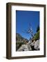 Europe, Spain, Pyrenees Mountains and Lake-Samuel Magal-Framed Photographic Print