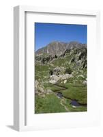 Europe, Spain, Pyrenees Mountains and Nature-Samuel Magal-Framed Photographic Print