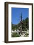 Europe, Spain, Pyrenees Mountains-Samuel Magal-Framed Photographic Print