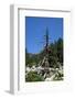 Europe, Spain, Pyrenees Mountains-Samuel Magal-Framed Photographic Print