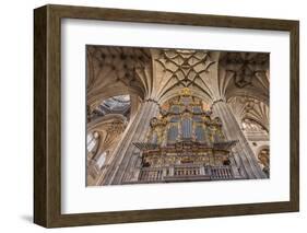 Europe, Spain, Salamanca, Cathedral Organ-Lisa S^ Engelbrecht-Framed Photographic Print