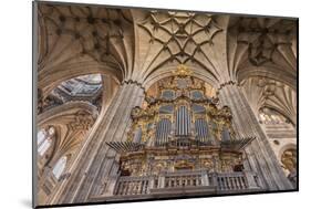 Europe, Spain, Salamanca, Cathedral Organ-Lisa S^ Engelbrecht-Mounted Photographic Print